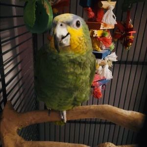 Meet your Posher, Renee